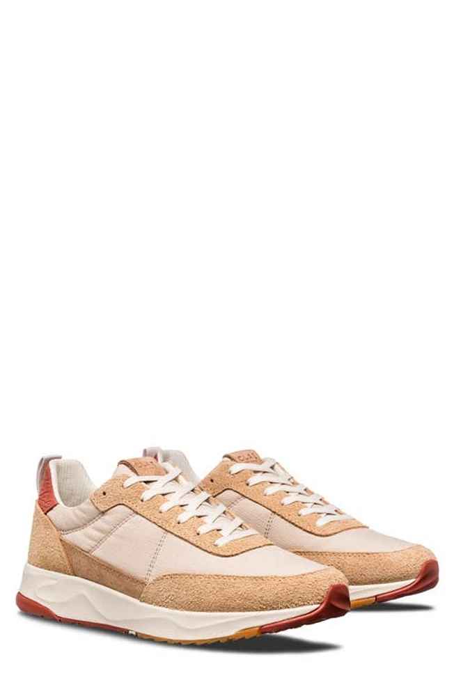 CLAE Owens Sneaker Starfish Suede at Nordstrom,