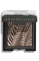 Chantecaille Luminescent Eye Shade Eyeshadow in Elephant at Nordstrom