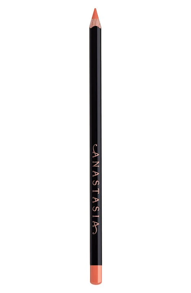 Anastasia Beverly Hills Lip Liner in Sunbaked at Nordstrom