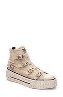 Ash Rainbow Platform Sneaker Sand at Nordstrom,