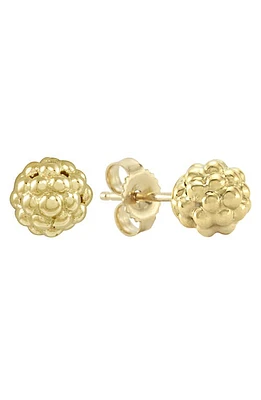 LAGOS Caviar 18K Gold Stud Earrings at Nordstrom