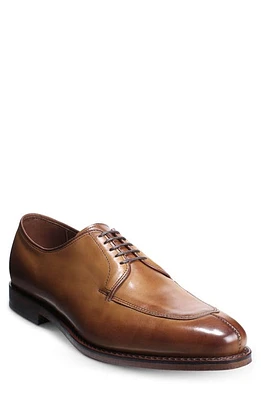 Allen Edmonds Delray Blucher Derby in Walnut at Nordstrom, Size 9