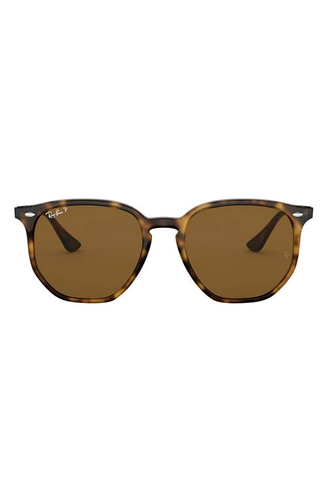 Ray-Ban 54mm Polarized Round Sunglasses in Havana/Brown Solid at Nordstrom