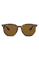 Ray-Ban 54mm Polarized Round Sunglasses in Havana/Brown Solid at Nordstrom