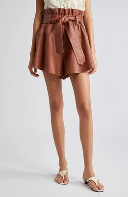 Zimmermann Harmony Belted Leather Shorts Toffee at Nordstrom,