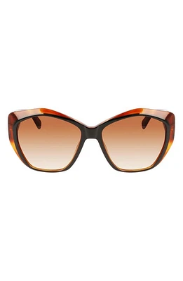 Longchamp 57mm Roseau Tea Cup Sunglasses in Black/Havana Honey at Nordstrom