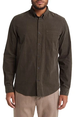 NN07 Arne 5082 Solid Button-Down Shirt at Nordstrom,