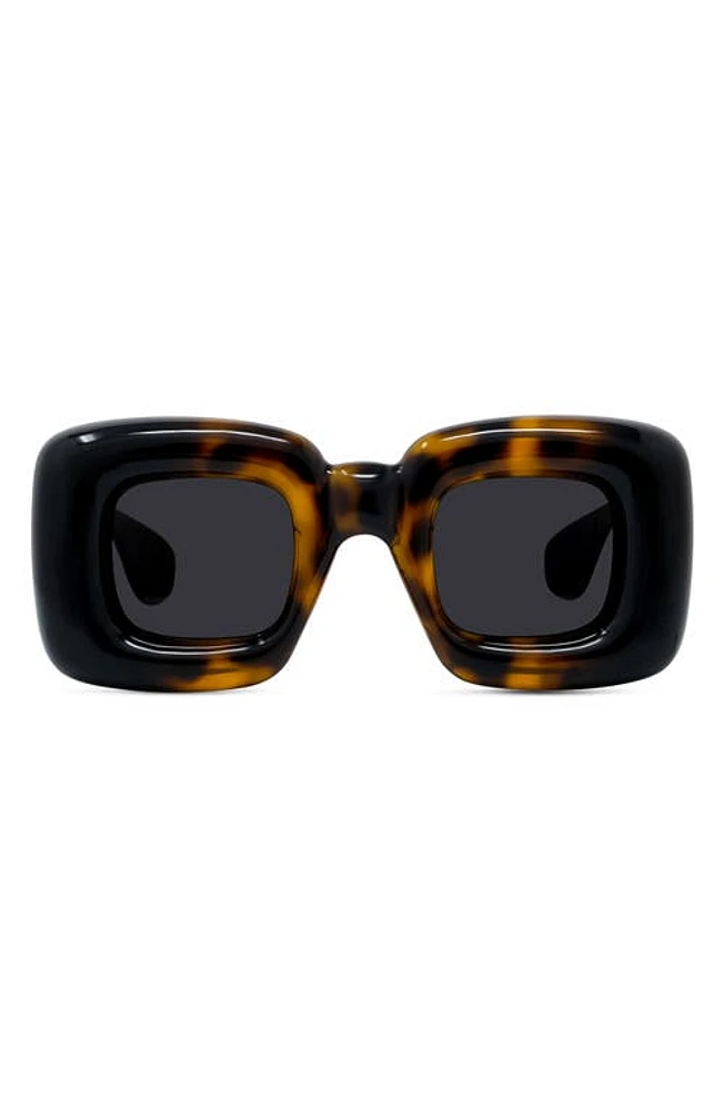 Loewe Injected 41mm Square Sunglasses in Dark Havana /Smoke at Nordstrom