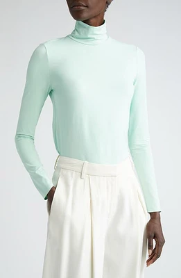 St. John Collection Nuda Jersey Turtleneck Top at Nordstrom,