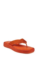 ZIGI Rosmery Platform Flip Flop Suede at Nordstrom,