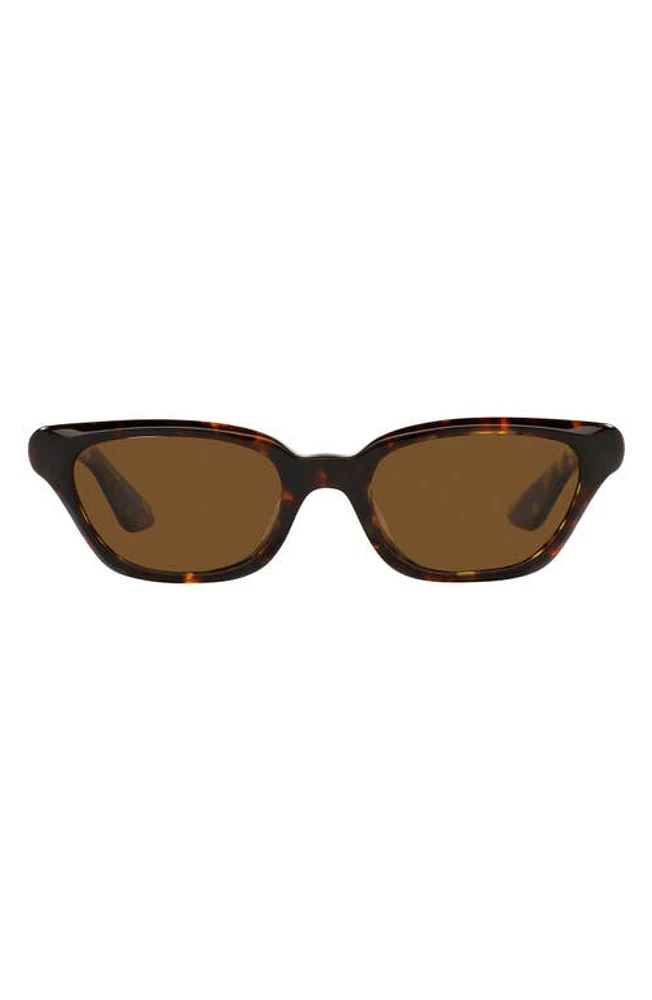 Oliver Peoples x KHAITE 1983C 52mm Irregular Sunglasses in Dark Tortoise at Nordstrom