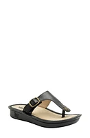 Alegria by PG Lite Vella Platform Sandal at Nordstrom,