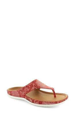 STRIVE Maui II Flip Flop in Scarlet at Nordstrom, Size 9