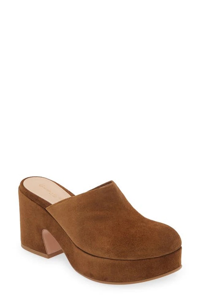 Gianvito Rossi Platform Clog Texas at Nordstrom,