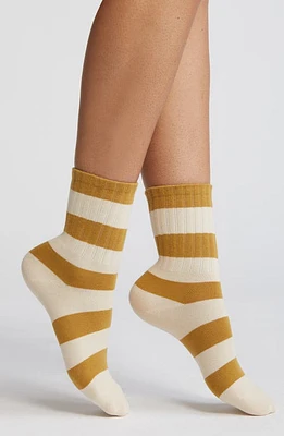 Casa Clara Stripe Combed Cotton Crew Socks in Mustard Stripe at Nordstrom