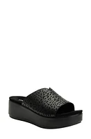 Alegria by PG Lite Triniti Platform Wedge Slide Sandal at Nordstrom,