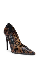 Dolce & Gabbana Lollo Pointed Toe Pump Brown Print Leopard at Nordstrom,