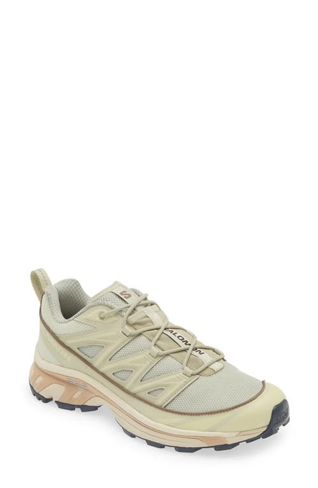 Salomon Gender Inclusive XT-6 Expanse Sneaker Alfalfa/Shortbread/Aloe Wash at Nordstrom, Women's