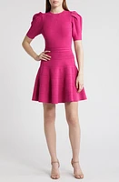 Ted Baker London Velvey Puff Sleeve Dress at Nordstrom,