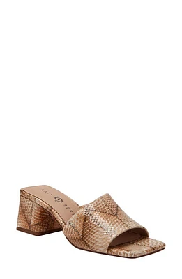 Katy Perry The Gemm Slide Sandal Tan Multi at Nordstrom,