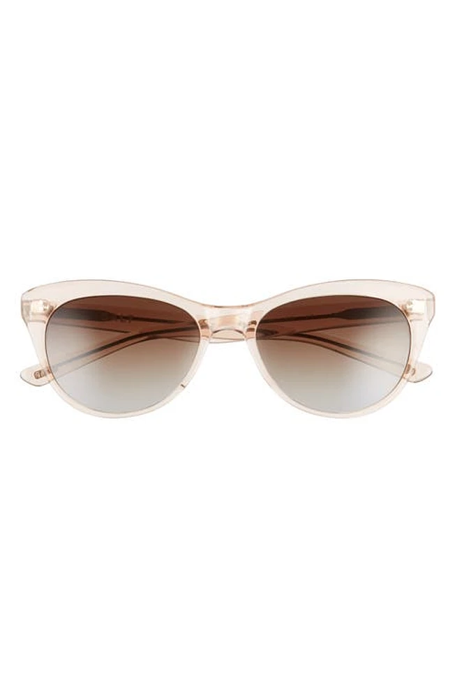 SALT. Hillier 55mm Polarized Cat Eye Sunglasses in Antique Rose at Nordstrom