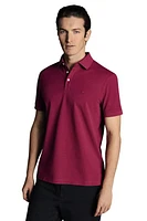 Charles Tyrwhitt Solid Short Sleeve Cotton Pique Polo Bright Pink at Nordstrom,