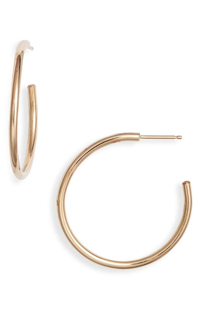 Nashelle Everyday Hoop Earrings in 14K Gold Fill at Nordstrom, Size Large