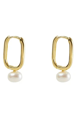 Argento Vivo Sterling Silver Freshwater Pearl Drop Hoop Earrings in Gold/Silver at Nordstrom