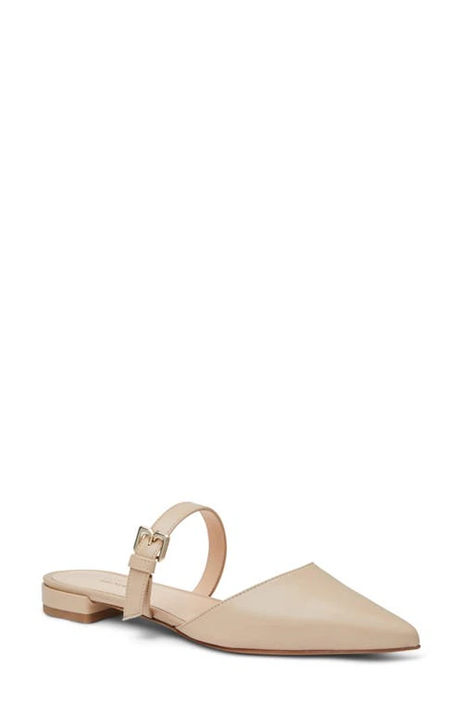 Bruno Magli Pasha Mule Sand at Nordstrom,