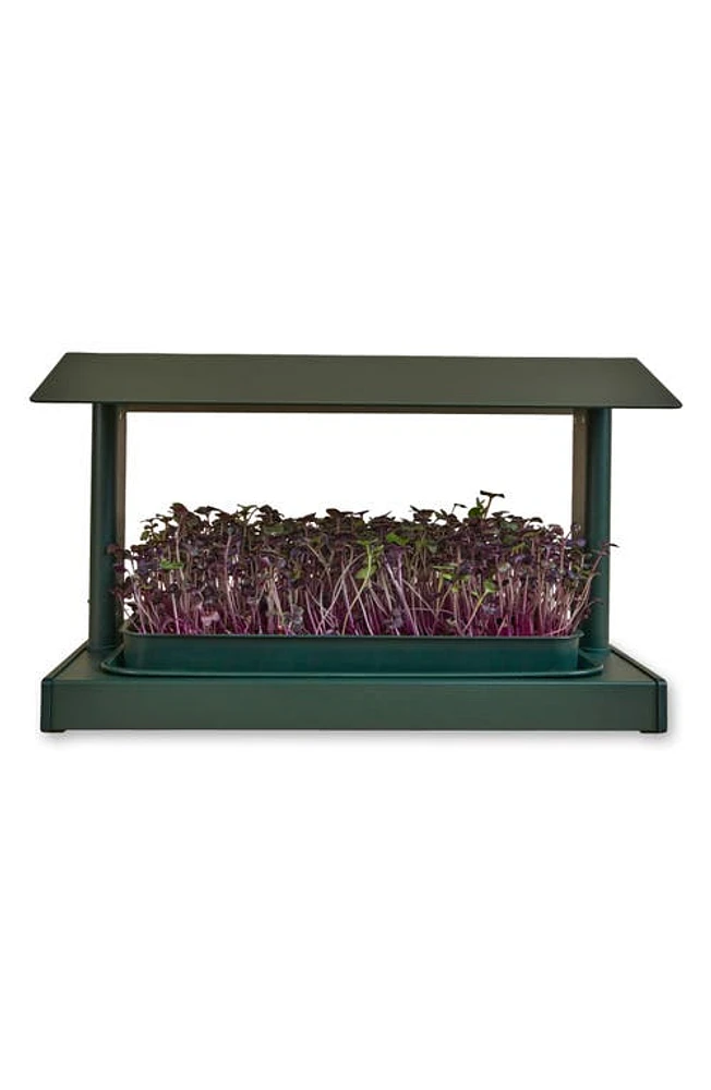 Leath Fieldhouse Indoor Microgreen Grow System at Nordstrom