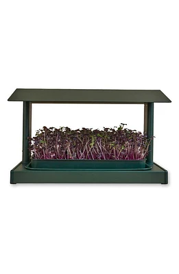 Leath Fieldhouse Indoor Microgreen Grow System at Nordstrom