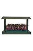 Leath Fieldhouse Indoor Microgreen Grow System at Nordstrom