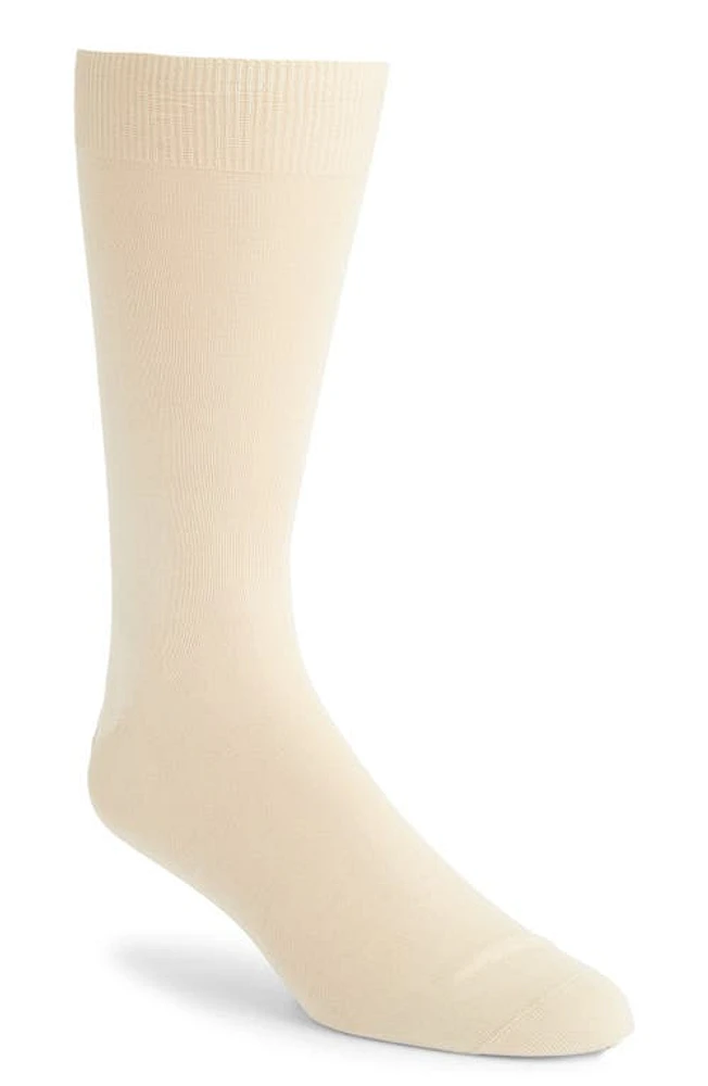 Canali Solid Cotton Dress Socks White at Nordstrom,