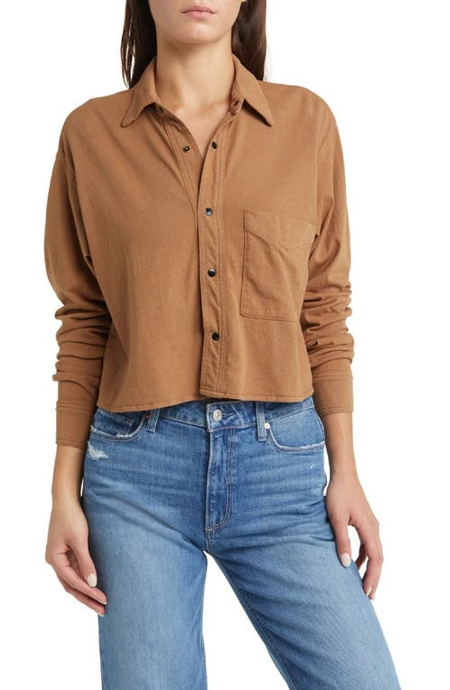 ASKK NY Crop Shirt in Tan at Nordstrom, Size X-Large