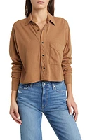 ASKK NY Crop Shirt in Tan at Nordstrom, Size X-Large