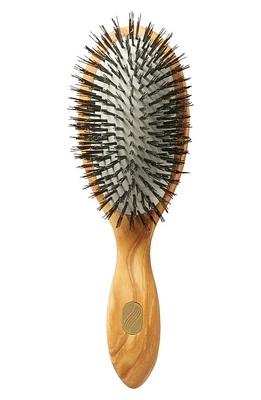 Altesse Beaute Classic Gentle Detangling Brush for Fine to Medium Hair at Nordstrom