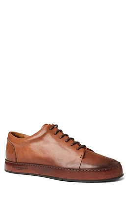 BRUNO MAGLI COLLEZIONE Trento Court Sneaker in Cognac at Nordstrom, Size 7