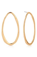 Ettika Hammered Oval Frontal Hoop Earrings in Gold at Nordstrom