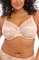 Elomi Morgan Full Figure Underwire Bra at Nordstrom,