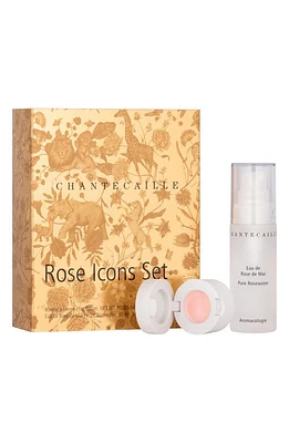 Chantecaille Mini Icons Set (Limited Edition) $84 Value at Nordstrom