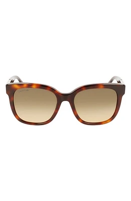 Lacoste 55mm Gradient Rectangular Sunglasses in Havana at Nordstrom