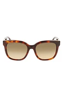 Lacoste 55mm Gradient Rectangular Sunglasses in Havana at Nordstrom