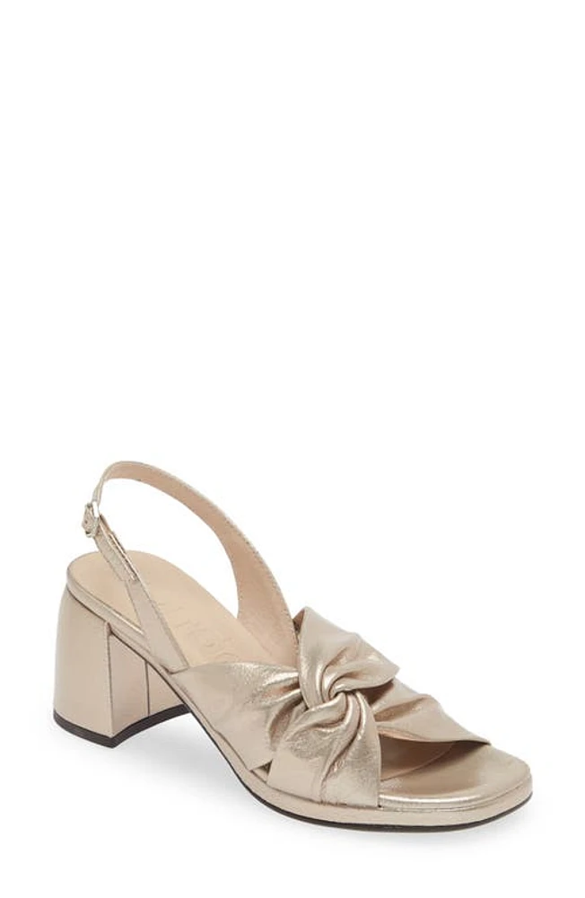 Wonders Knot Detail Block Heel Sandal at Nordstrom,