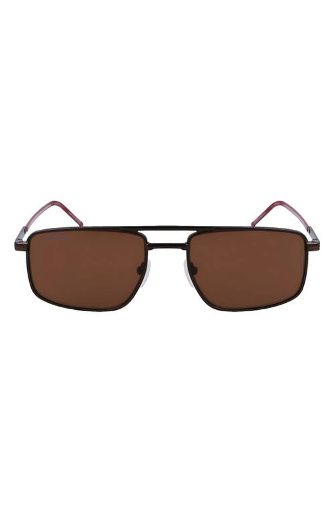 Lacoste 56mm Rectangular Sunglasses in Matte Brown at Nordstrom