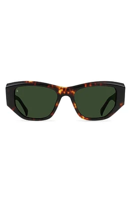 RAEN Ynez 54mm Mirrored Square Sunglasses in Ristretto Tortoise/Green at Nordstrom