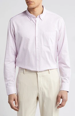 Johnston & Murphy XCFlex Dot Print Button-Up Shirt Pink at Nordstrom, R