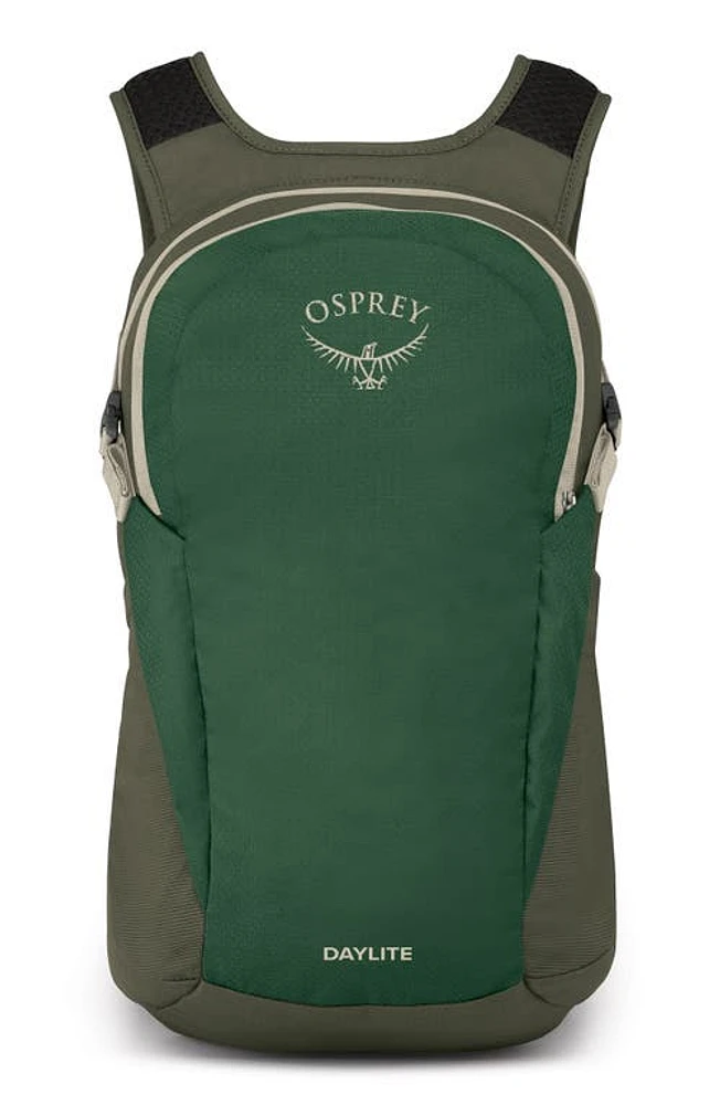 Osprey Daylite Backpack in Green Canopy/Green Creek at Nordstrom