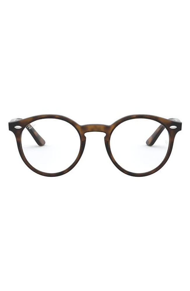 Ray-Ban Kids' 44mm Round Optical Glasses in Havana at Nordstrom