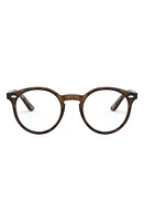 Ray-Ban Kids' 44mm Round Optical Glasses in Havana at Nordstrom