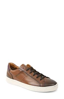 Bruno Magli Dante Oxford Sneaker Cognac Calf at Nordstrom,